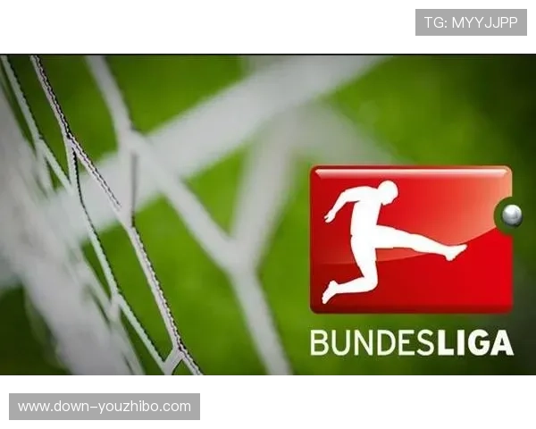 德甲VAR培训：标准统一进程